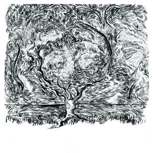 "TreeDreamer" Limited Edition Giclée Archival Print. by JE.