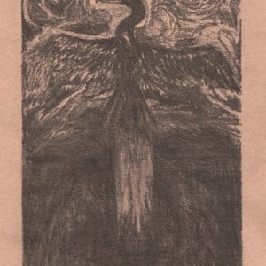 "Cormorant" 2025 - Original Pencil Drawing