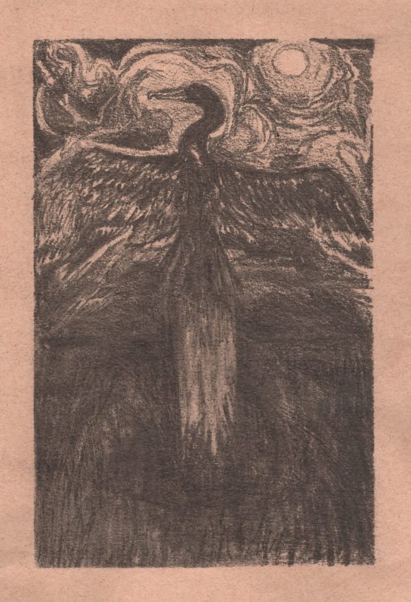 "Cormorant" 2025 - Original Pencil Drawing