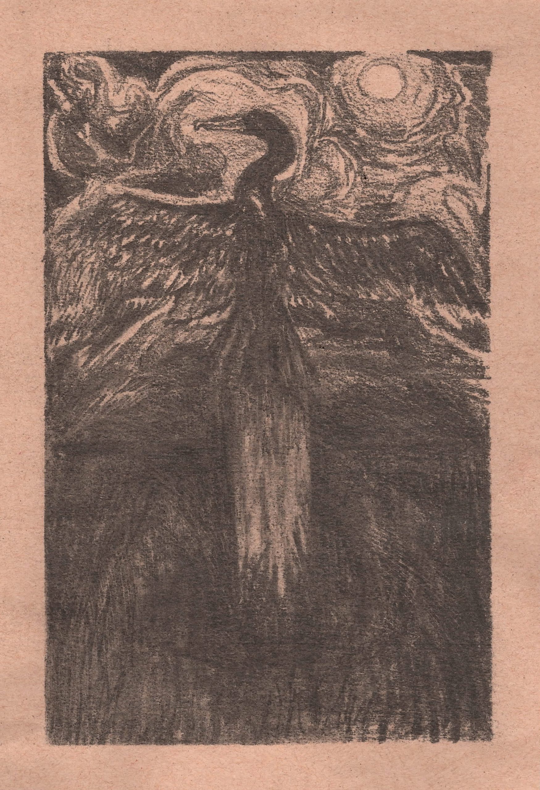 "Cormorant" 2025 - Original Pencil Drawing - Image 1
